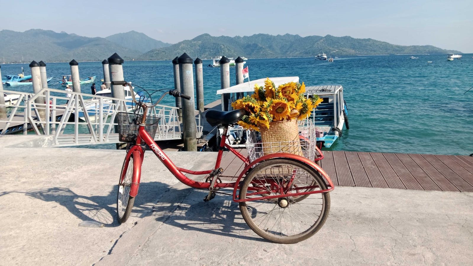 Island Bloom flowers delivered by bicycle